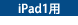 iPad1p
