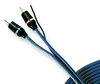 8�C���`���C�hTFT�t���J���[�e���r�@CTM-810WS